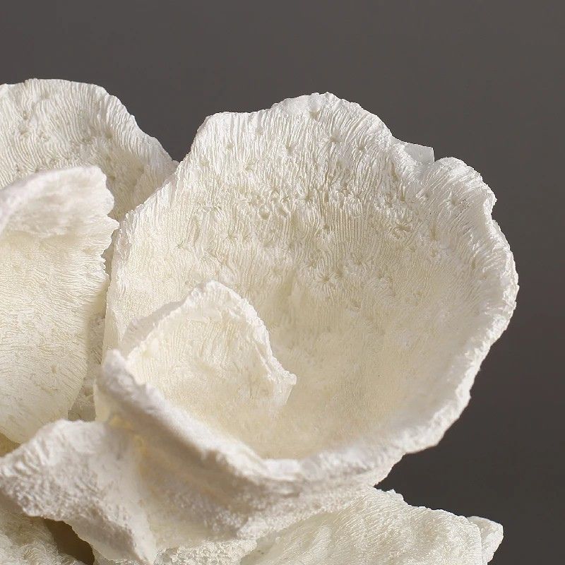 White Coral Bloom