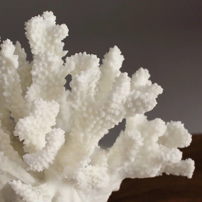 White Coral Bloom