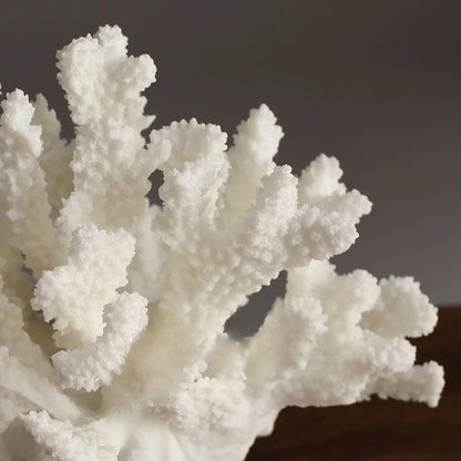 White Coral Bloom